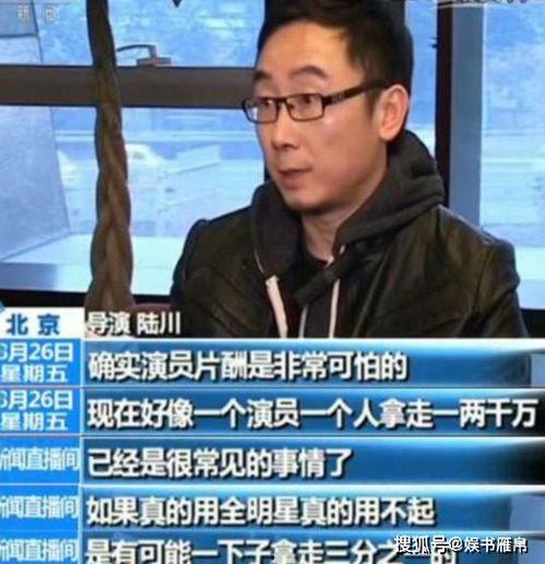 永元爆料娱乐圈逃税事件,永元爆料揭开行业隐秘面纱  第3张